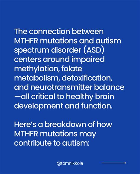 Tom Nikkola, CSCS | Personal Trainer, Nutrition Coach | WHAT YOU CAN DO ...