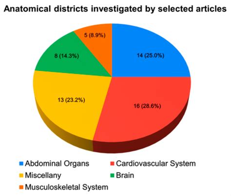 Applications of Deep Learning Algorithms to Ultrasound Imaging Analysis ...