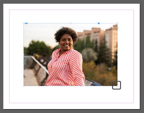 Image result for InDesign Resize Images Controls