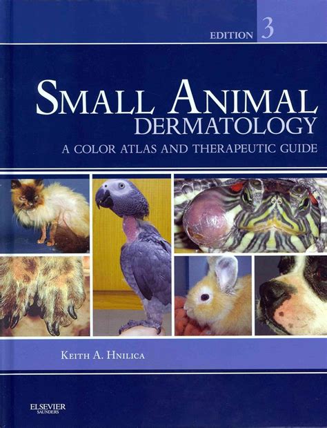 Buy Small Animal Dermatology: A Color Atlas and Therapeutic Guide Book ...