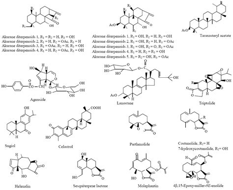 Molecular Mechanism Underlying Anti-Inflammatory and Anti-Allergic ...