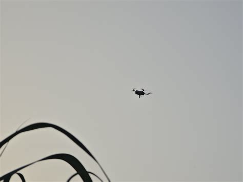 Case of a 1-year-old girl being kidnapped by a dog in Kamrej | 48 કલાક ...