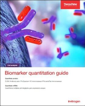 Image result for Optimization Elisa