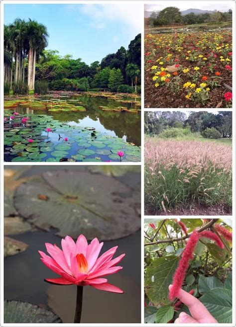 Xishuangbanna Tropical Botanical Garden 西双版纳热带植物园 - GoKunming
