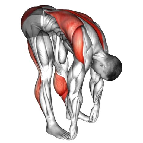 Front Bend Tutorial 的图像结果