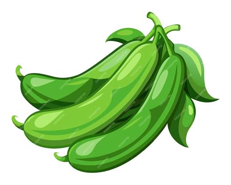 Green Beans Clip Art Realistic Vector Illustration of Fresh Green Beans ...