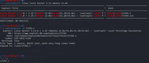 Image result for Metasploitable Exploit X Server Detection