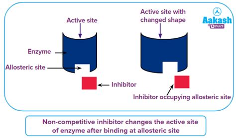Drug Enzyme Interaction in Chemistry: Definition, Types and Importance ...