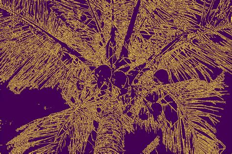 Canny Edge Detector Python 的图像结果