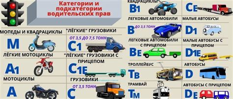 Как получить водительские права категории B1. Категории водительских прав