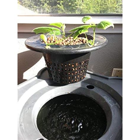 Mr.Stacky 16.5 Gallon Deep Water Culture (DWC) Hydroponic India | Ubuy