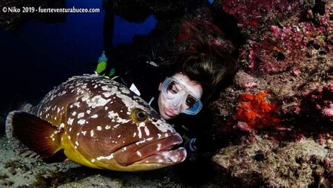 Underwater fun for all - Reviews, Photos - Fuerteventura Buceo Diving ...