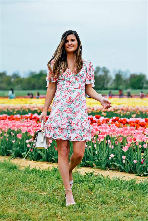 Two Garden Party Dresses Under $60 | Spring party dresses, Party dress ...
