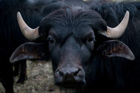 90.7 WMFE Listen Live - Orlando, United States | Online Radio Box