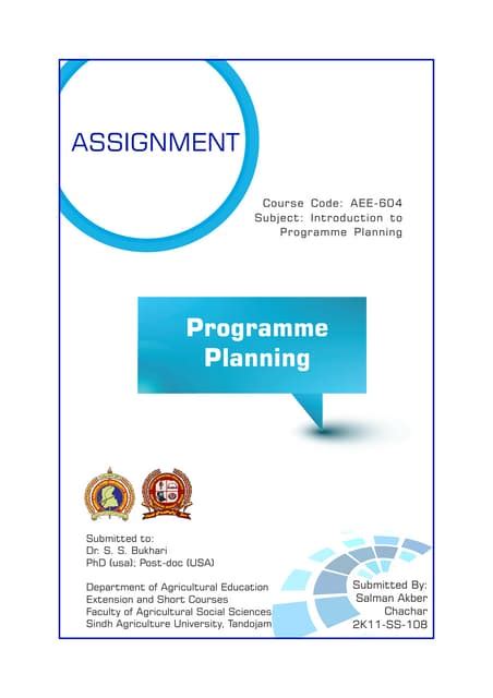 Program Planning 的图像结果