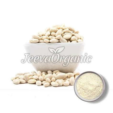 Bulk Organic White Kidney Bean Powder Supplier