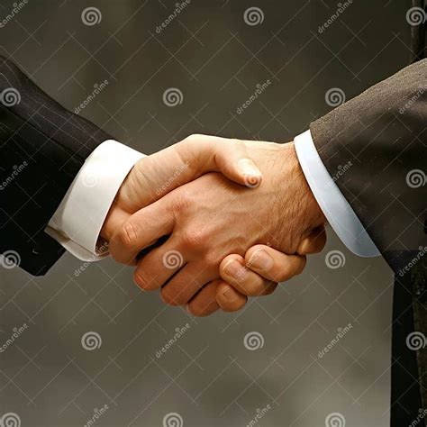 Handshake 的图像结果