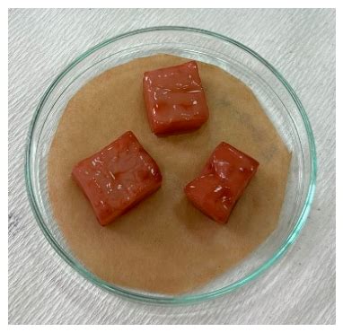 Green-Synthesized Zinc Oxide–Bacterial Cellulose Composites: Eco ...