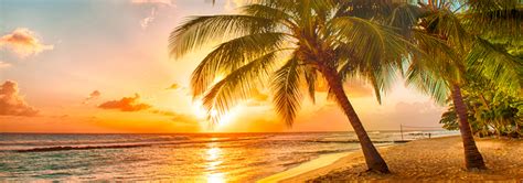 The New York Times Says Travel Agents are Back