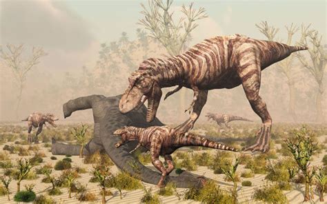 新研究揭示了恐龙如何支撑其巨大的身体 - 科学探索 - cnBeta.COM