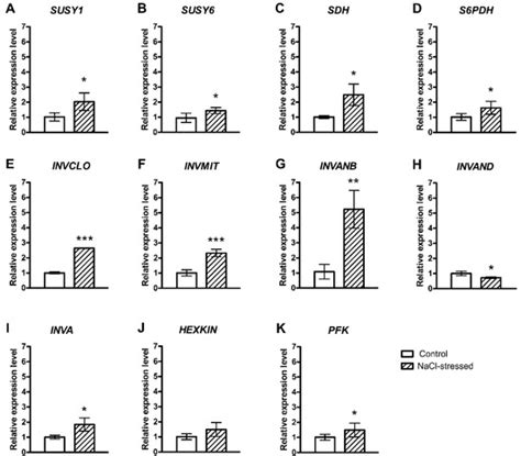 Moderate Salinity Stress Affects Expression of Main Sugar Metabolism ...