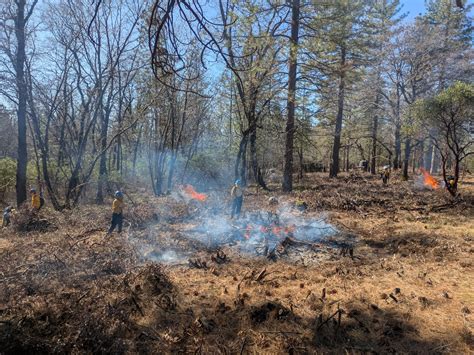 NEWS RELEASE: Pile Burning Project in Forest Ranch Funded by CAL Fire’s ...