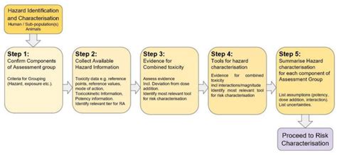 Risk Assessment of Combined Exposure to Multiple Chemicals at the ...