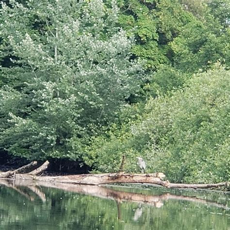 Whitaker Ponds Nature Park (2026) - All You MUST Know Before You Go ...