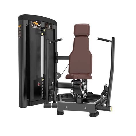 FitLine | Elite | Horizontal Leg Curl – Fitline India