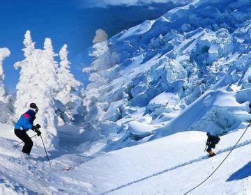 Beautiful 7 Days 6 Nights Shimla, Kufri, Manali with Rohtang Pass Trip ...