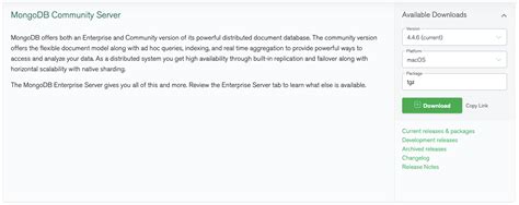 MongoDB Database Manager 的图像结果