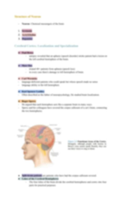 Neuroscience Lesson 的图像结果