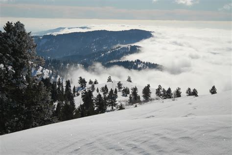 Elevation of Gold Fork Ridge Rd, Boise, ID, USA - Topographic Map ...