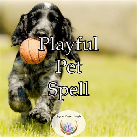 Playful Pet Spell - transform your pet's behavior to be fun and frisky – CrystalConjureMagic