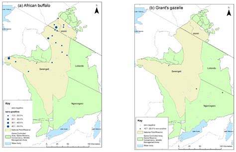 Peste des Petits Ruminants Virus Infection at the Wildlife–Livestock ...