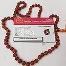 Apnisanskriti 5 Mukhi Rudraksha Mala for Jaap and Men/Women Wearing ...