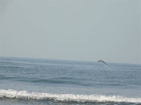 Murud Beach (Dapoli) - 2020 What to Know Before You Go (with Photos ...