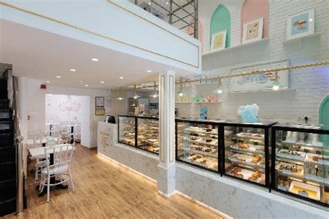 Cake Shop in Lucknow | Best Bakery Near Me | Theobroma