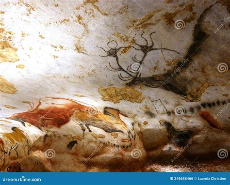 Facsimile Reproduction Of Deer Drawing From Lascaux Cave In Dordogne Editorial Photo ...