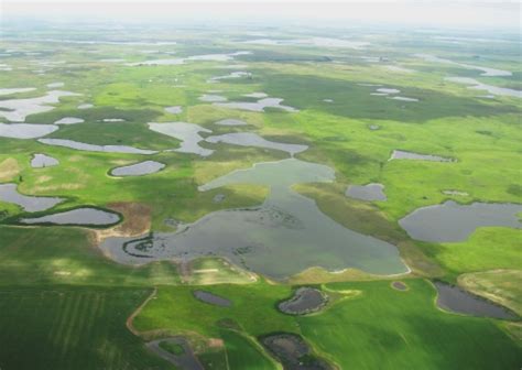 Waterfowl Production Areas | U.S. Fish & Wildlife Service