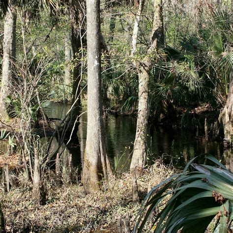 RICE CREEK CONSERVATION AREA (2025) All You Need to Know BEFORE You Go ...