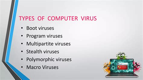 Image result for Computer Virus Program Is Usually Hidden In