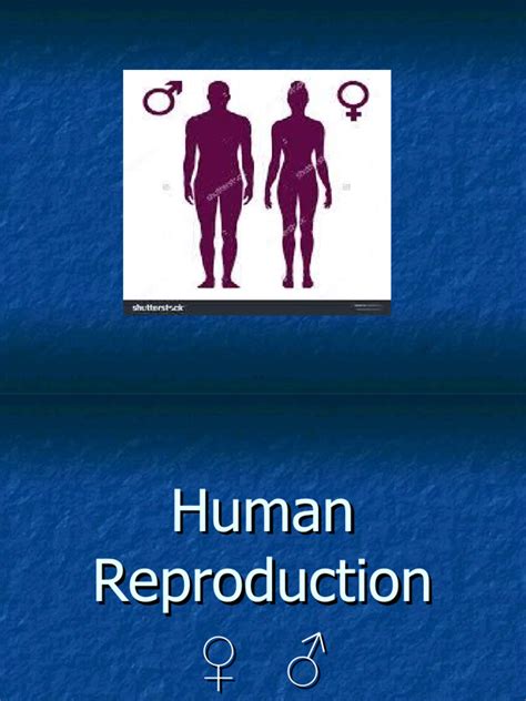 Image result for Science Human Reproduction