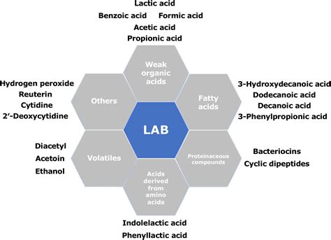Lab For Lactic Acid at Rachel Thomas blog