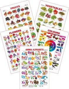 Spectrum Set of 5 Educational Wall Charts (Animal Alphabets, Flowers ...