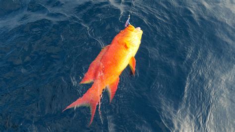 Go Beyond Beaches With Mastercard's Priceless Maldives