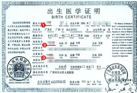 日本签证材料出生证明模板_日本签证代办服务中心