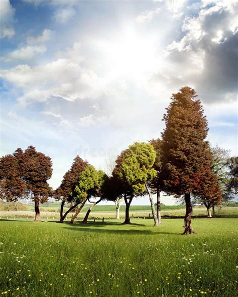 5 Minute Timer Springtime 的图像结果