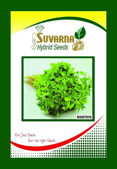 Suvarna Combo Beetroot Ruby Queen Imported,Bittergourd Green Long ...