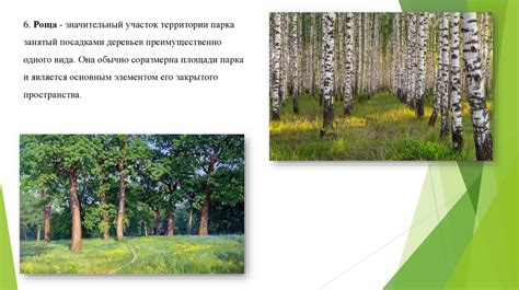 Типы садово-парковых насаждений. Виды цветочного оформления ...